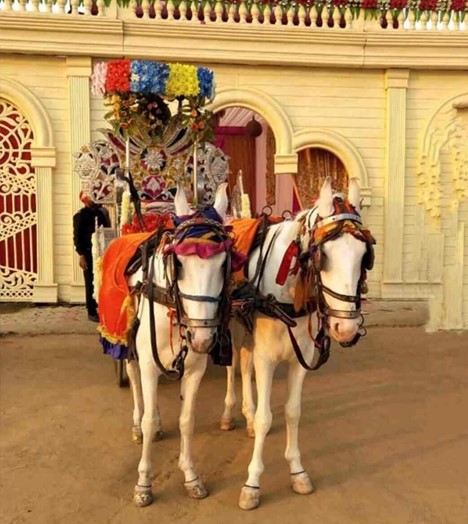 Traditional Ghori & Baggi