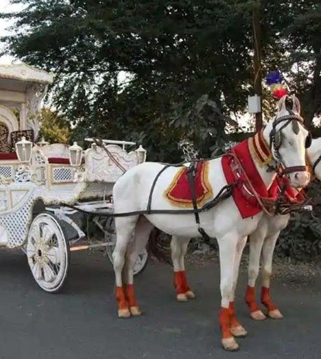 Traditional Ghori